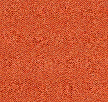 Ковровая плитка Tessera Chroma 3625 Calypso фото 1 | FLOORDEALER